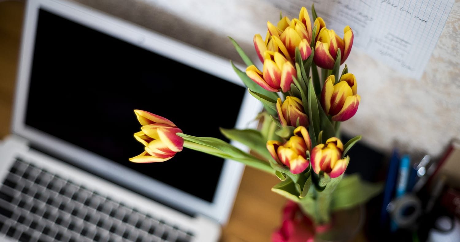 Etualalla kukkia, taka-alalla kannettava tietokone/Flowers in the foreground, laptop in the background.