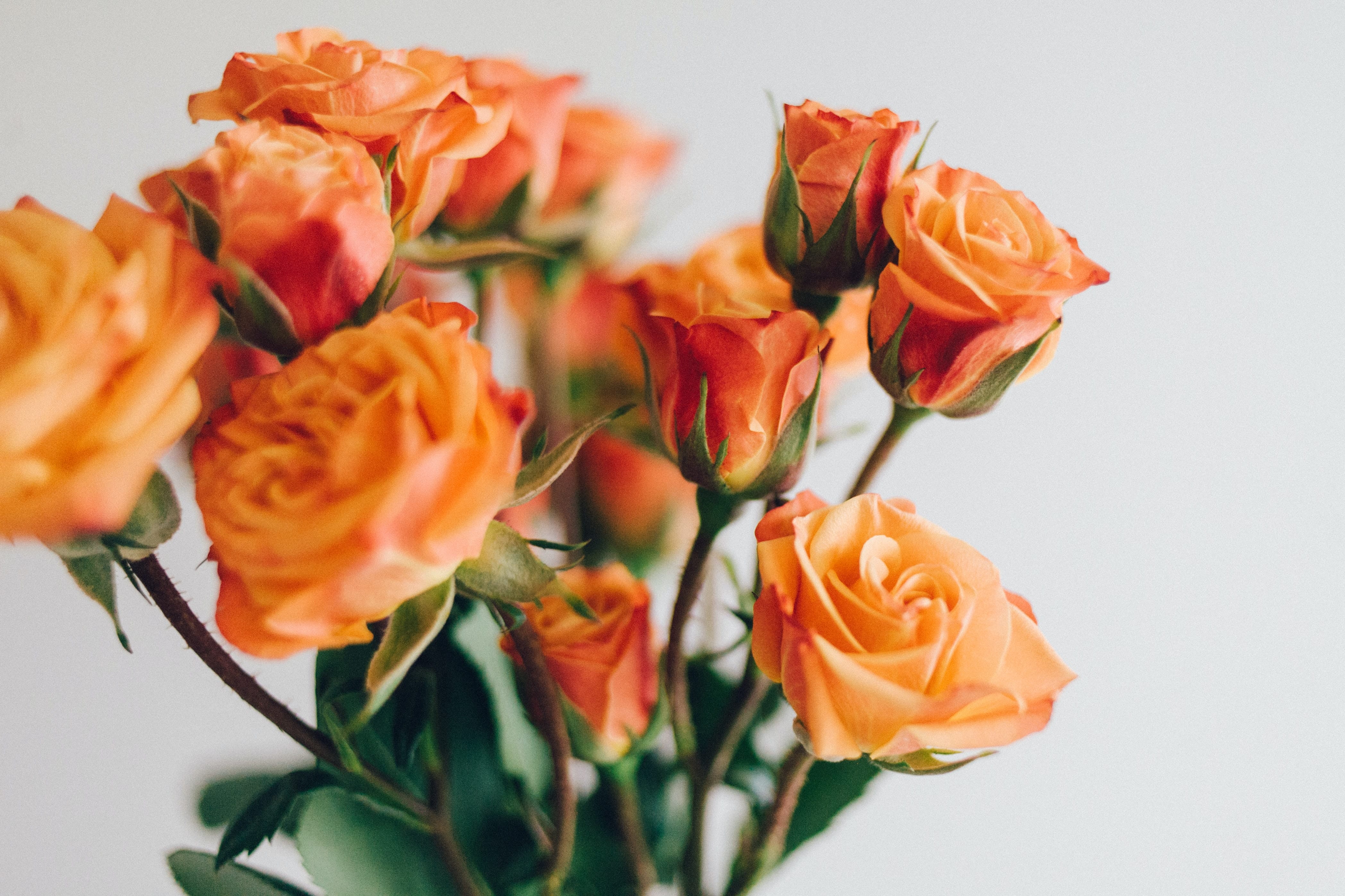 Orange bouquet.