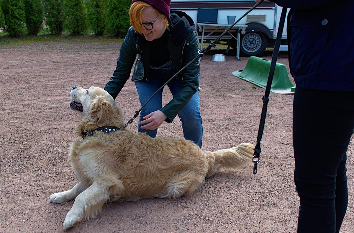 TUKEE!-hankkeen osallistuja silittää maassa makaavaa koiraa.