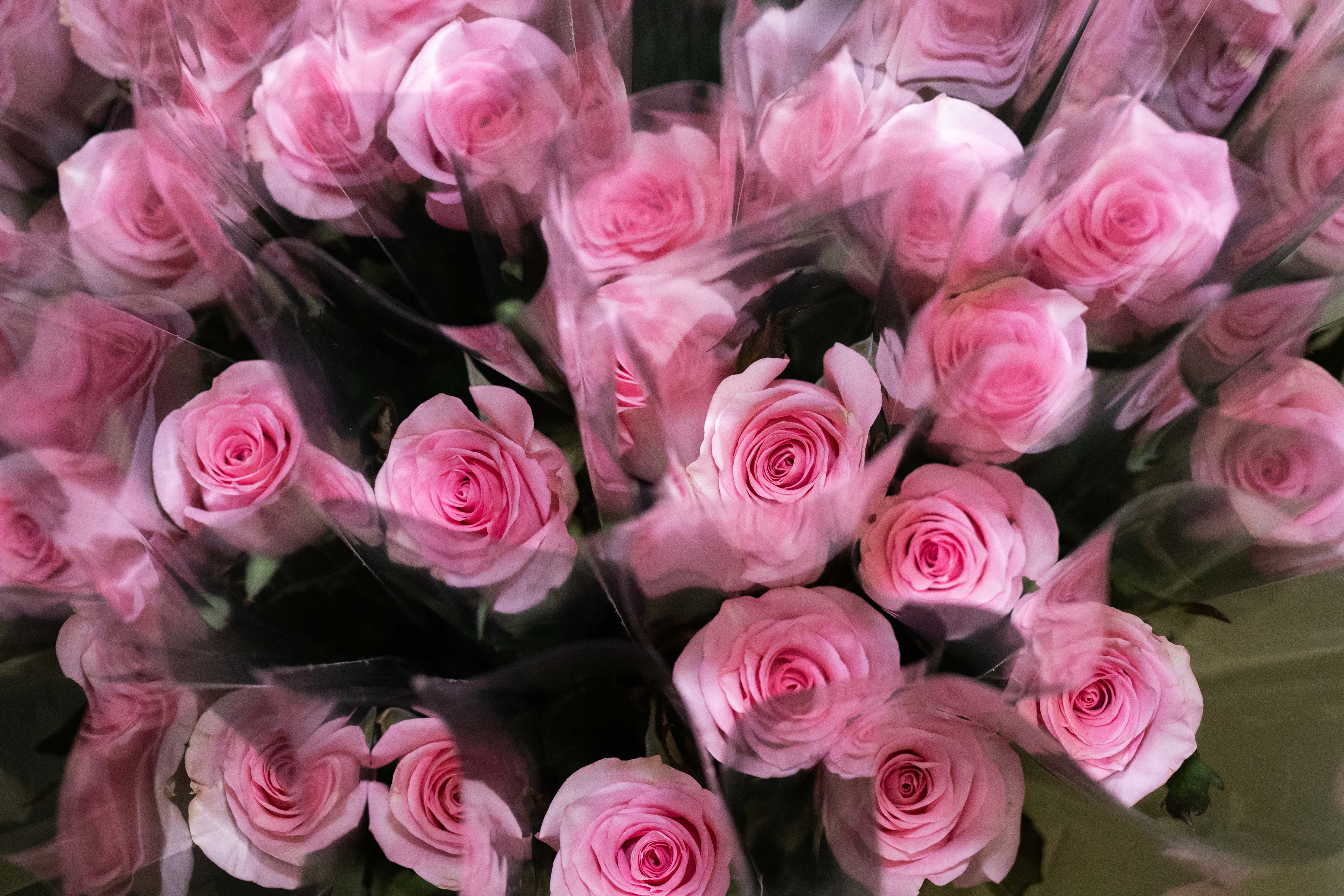 Pink bouquet of roses.