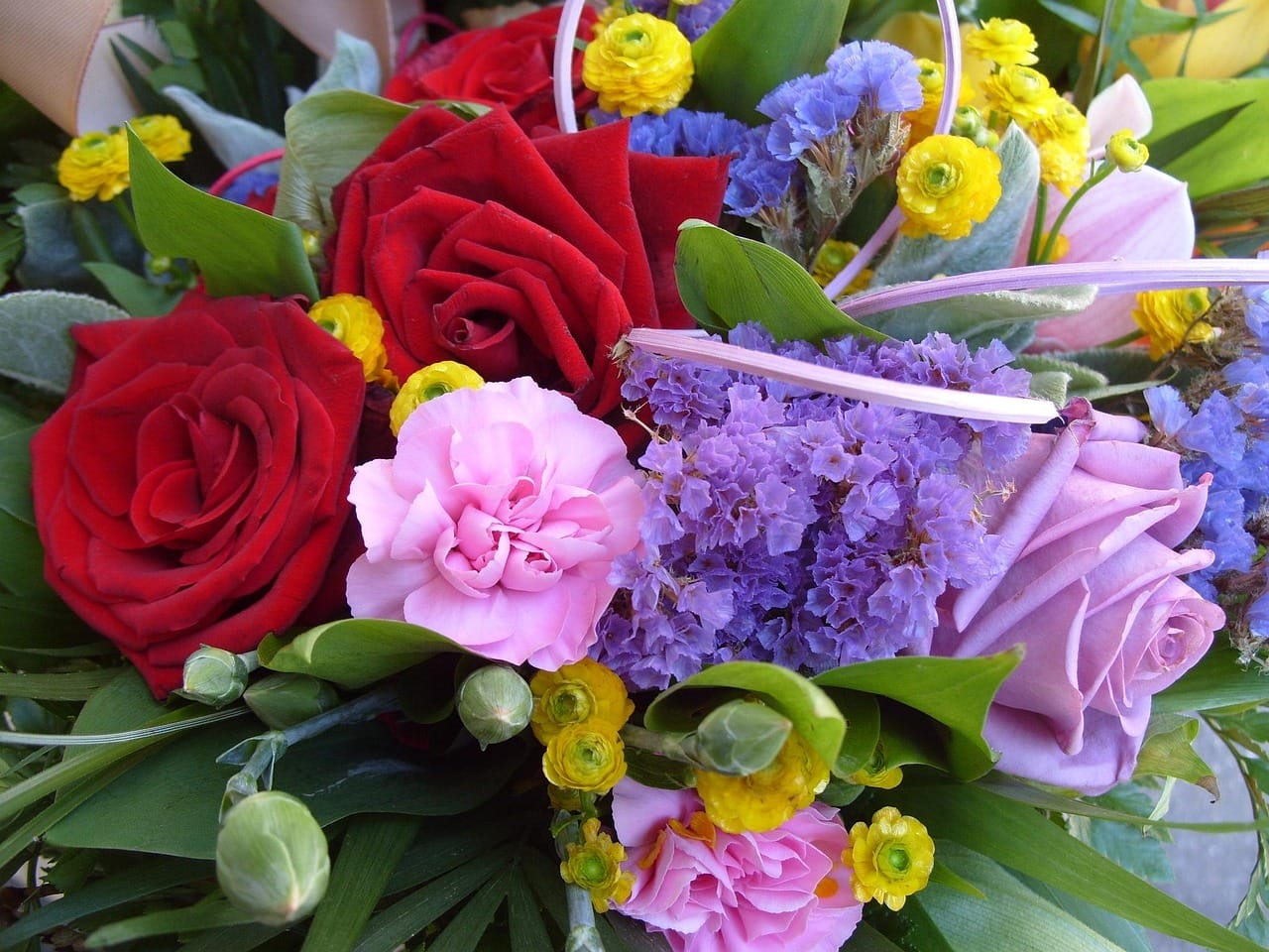 Bouquet of colourful flowers.